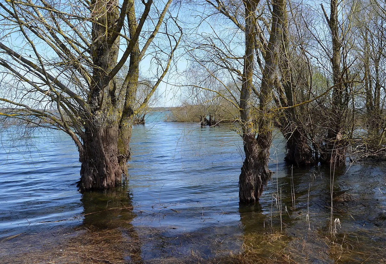 Vue du lac du Der-Chantecoq avec un niveau d'eau élevé, en Champagne, France.